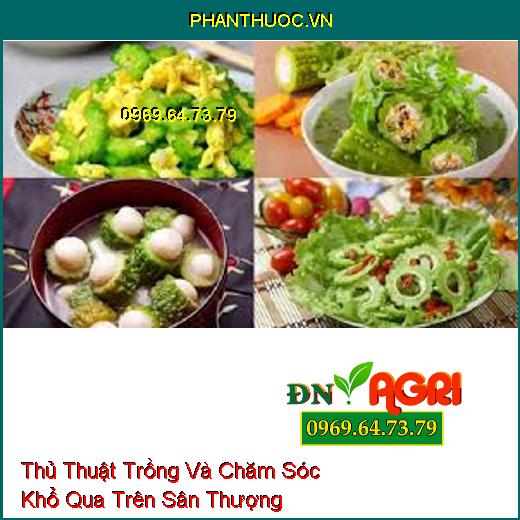 Thủ Thuật Trồng Và Chăm Sóc Khổ Qua Trên Sân Thượng 