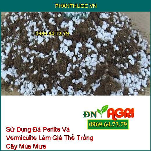 Sử Dụng Đá Perlite Và Vermiculite Làm Giá Thể Trồng Cây Mùa Mưa