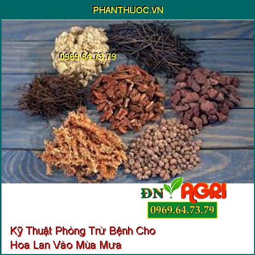 Kỹ Thuật Phòng Trừ Bệnh Cho Hoa Lan Vào Mùa Mưa