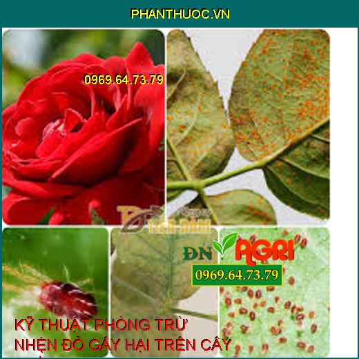 KỸ THUẬT PHÒNG TRỪ NHỆN ĐỎ GÂY HẠI TRÊN CÂY TRỒNG