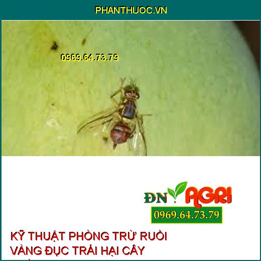 KỸ THUẬT PHÒNG TRỪ RUỒI VÀNG ĐỤC TRÁI HẠI CÂY TRỒNG