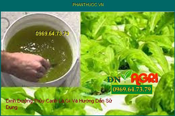 Dinh Dưỡng Thủy Canh Là Gì Và Hướng Dẫn Sử Dụng