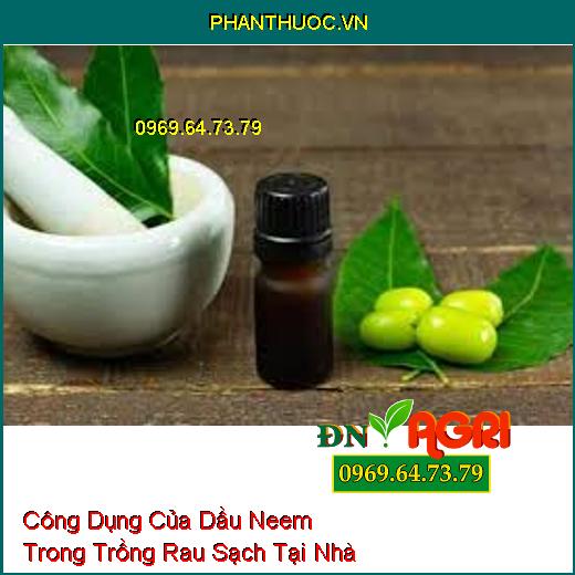 Công Dụng Của Dầu Neem Trong Trồng Rau Sạch Tại Nhà