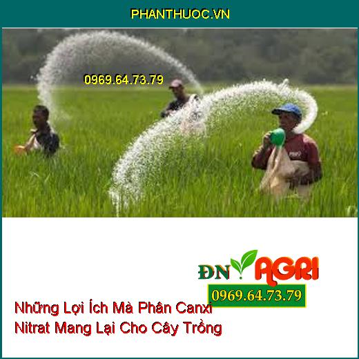 Những Lợi Ích Mà Phân Canxi Nitrat Mang Lại Cho Cây Trồng