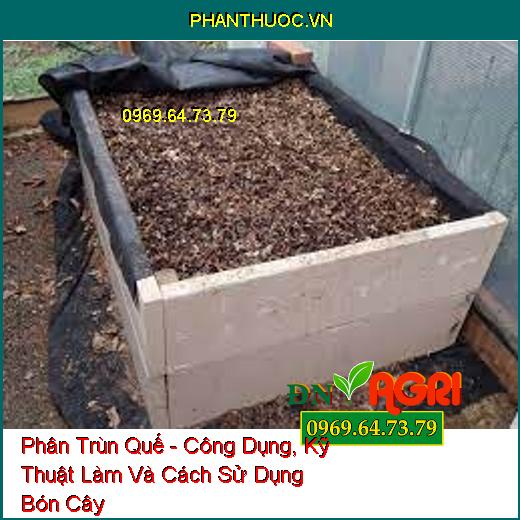 Phân Trùn Quế - Công Dụng, Kỹ Thuật Làm Và Cách Sử Dụng Bón Cây