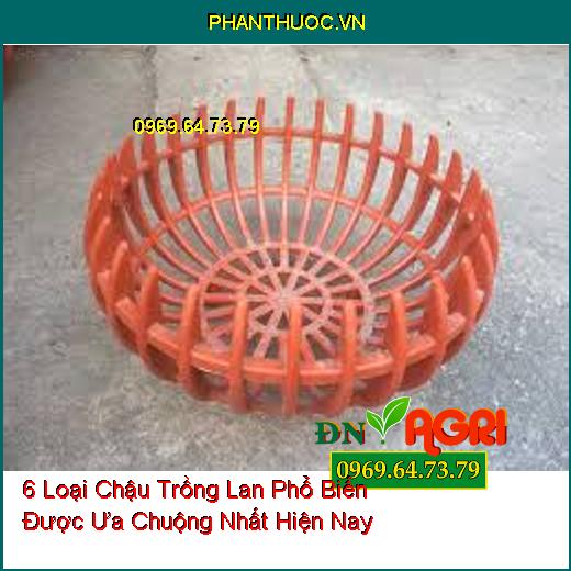 6 Loại Chậu Trồng Lan Phổ Biến Được Ưa Chuộng Nhất Hiện Nay