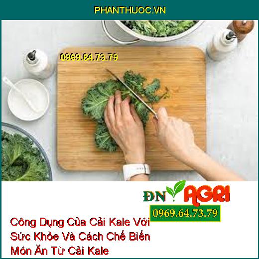 Công Dụng Của Cải Kale Với Sức Khỏe Và Cách Chế Biến Món Ăn Từ Cải Kale