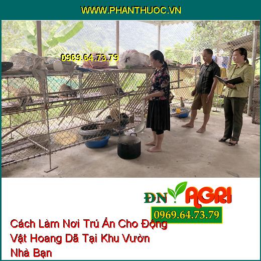 Cách Làm Nơi Trú Ẩn Cho Động Vật Hoang Dã Tại Khu Vườn Nhà Bạn