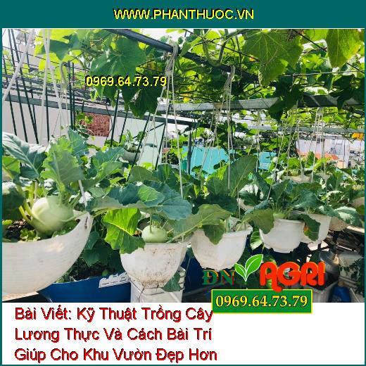 Kỹ Thuật Trồng Cây Lương Thực Và Cách Bài Trí Giúp Cho Khu Vườn Đẹp Hơn