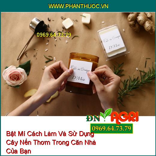 Bật Mí Cách Làm Và Sử Dụng Cây Nến Thơm Trong Căn Nhà Của Bạn