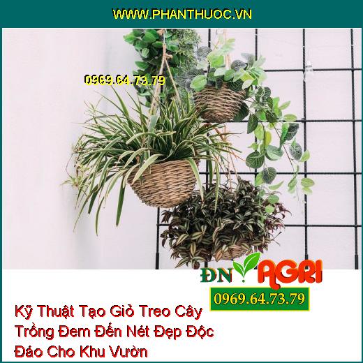 Kỹ Thuật Tạo Giỏ Treo Cây Trồng Đem Đến Nét Đẹp Độc Đáo Cho Khu Vườn