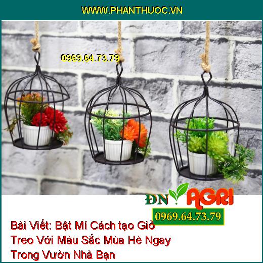 Bật Mí Cách tạo Giỏ Treo Với Màu Sắc Mùa Hè Ngay Trong Vườn Nhà Bạn