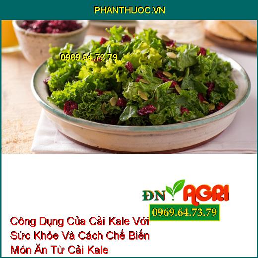 Công Dụng Của Cải Kale Với Sức Khỏe Và Cách Chế Biến Món Ăn Từ Cải Kale