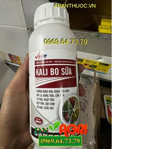 KALI BO Sữa- Hạn Chế Rụng Bông- Rụng Trái Non- Dày Cơm- Ngọt Trái- Lá To Dày