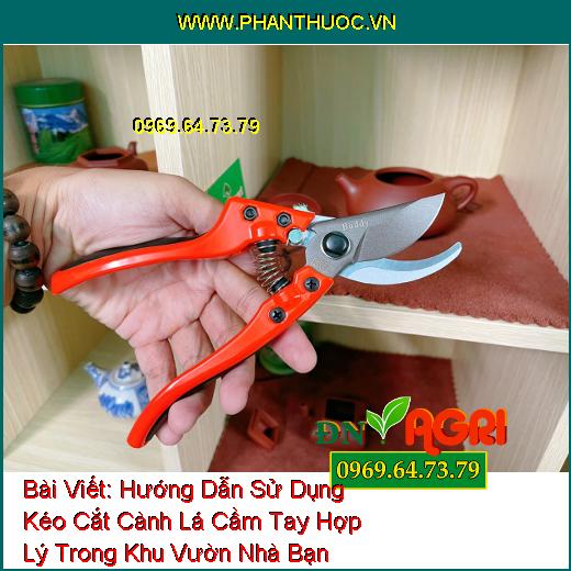 Hướng Dẫn Sử Dụng Kéo Cắt Cành Lá Cầm Tay Hợp Lý Trong Khu Vườn Nhà Bạn