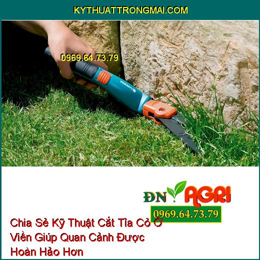 Chia Sẻ Kỹ Thuật Cắt Tỉa Cỏ Ở Viền Giúp Quan Cảnh Được Hoàn Hảo Hơn