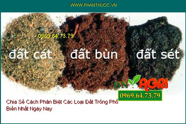 Chia Sẻ Cách Phân Biệt Các Loại Đất Trồng Phổ Biến Nhất Ngày Nay 