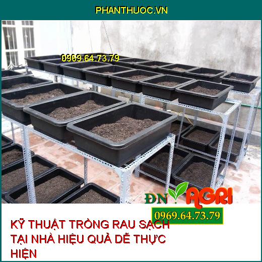 KỸ THUẬT TRỒNG RAU SẠCH TẠI NHÀ HIỆU QUẢ DỄ THỰC HIỆN