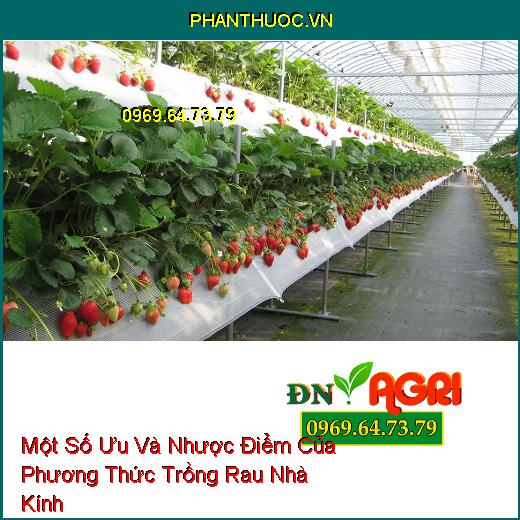 Một Số Ưu Và Nhược Điểm Của Phương Thức Trồng Rau Nhà Kính