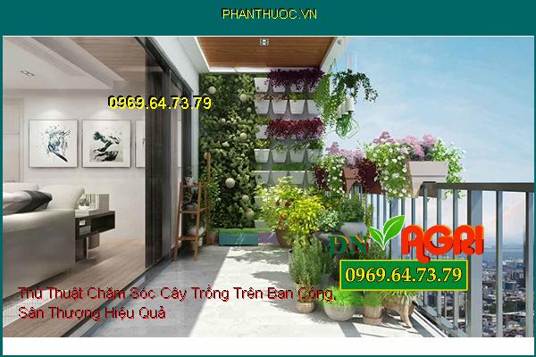 Thủ Thuật Chăm Sóc Cây Trồng Trên Ban Công, Sân Thượng Hiệu Quả