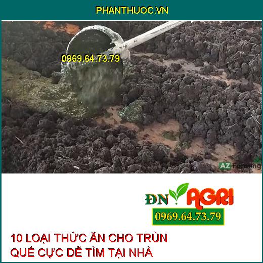 10 LOẠI THỨC ĂN CHO TRÙN QUẾ CỰC DỄ TÌM TẠI NHÀ