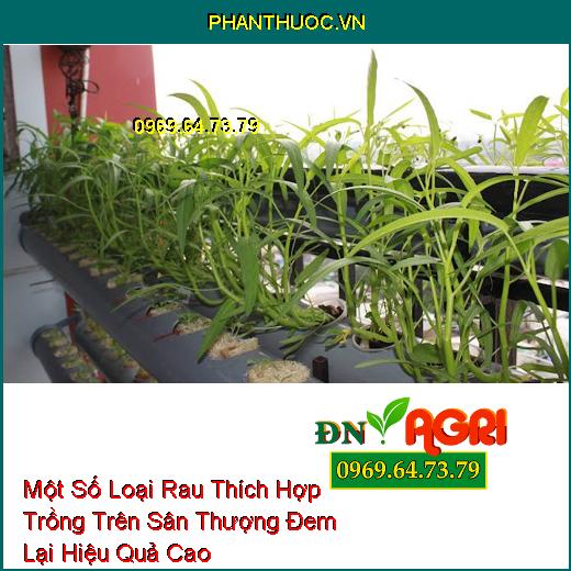 Một Số Loại Rau Thích Hợp Trồng Trên Sân Thượng Đem Lại Hiệu Quả Cao