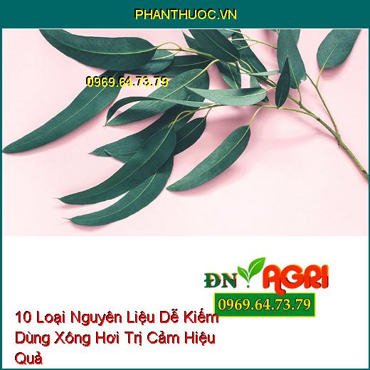 10 Loại Nguyên Liệu Dễ Kiếm Dùng Xông Hơi Trị Cảm Hiệu Quả