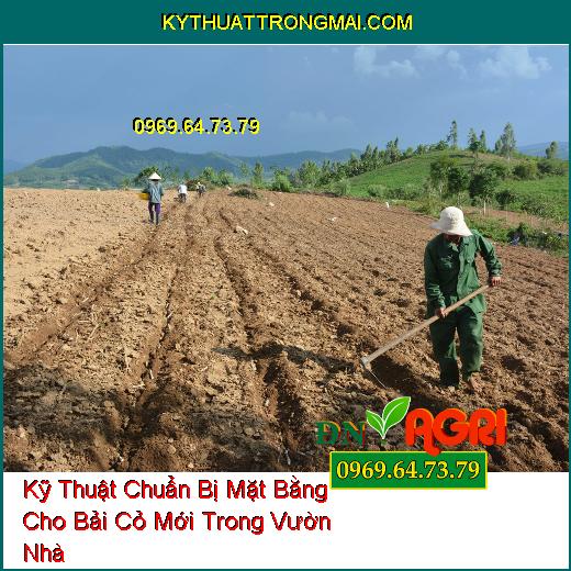 Kỹ Thuật Chuẩn Bị Mặt Bằng Cho Bải Cỏ Mới Trong Vườn Nhà