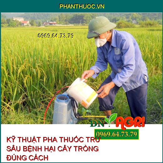 KỸ THUẬT PHA THUỐC TRỪ SÂU BỆNH HẠI CÂY TRỒNG ĐÚNG CÁCH