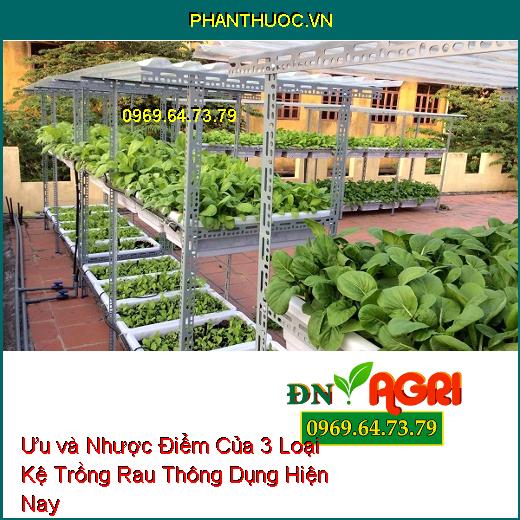 Ưu và Nhược Điểm Của 3 Loại Kệ Trồng Rau Thông Dụng Hiện Nay