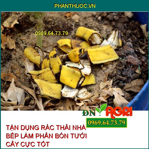 TẬN DỤNG RÁC THẢI NHÀ BẾP LÀM PHÂN BÓN TƯỚI CÂY CỰC TỐT