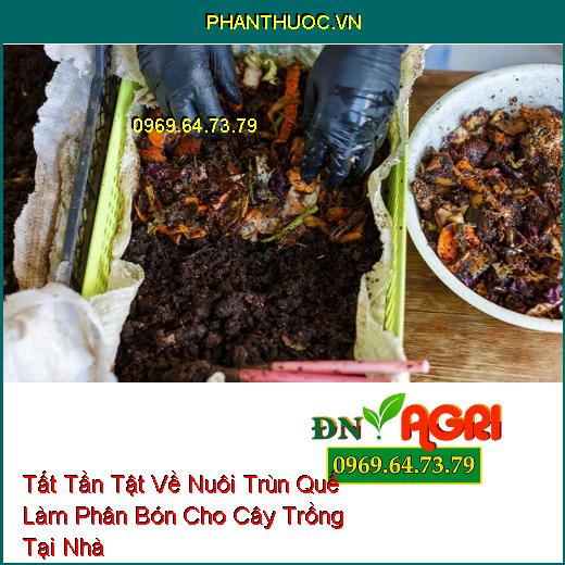 Tất Tần Tật Về Nuôi Trùn Quế Làm Phân Bón Cho Cây Trồng Tại Nhà