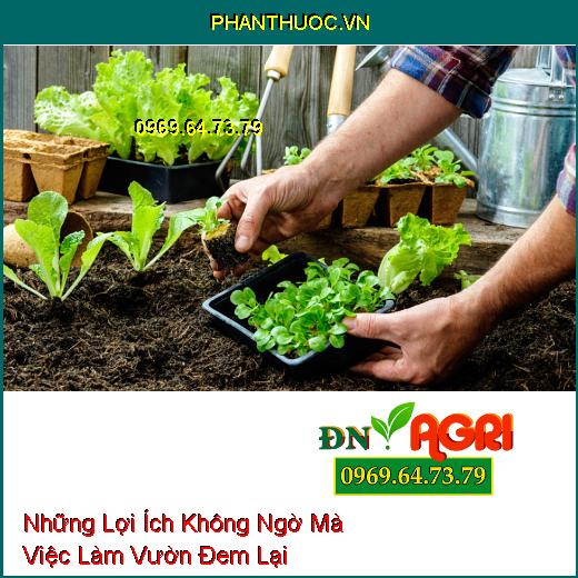 Những Lợi Ích Không Ngờ Mà Việc Làm Vườn Đem Lại 