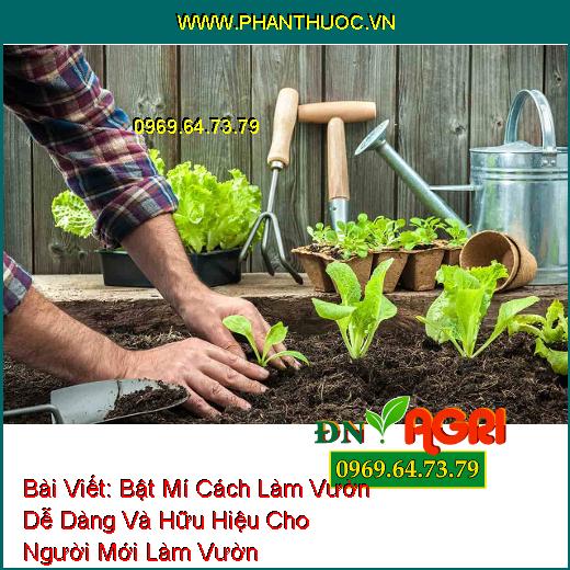 Bật Mí Cách Làm Vườn Dễ Dàng Và Hữu Hiệu Cho Người Mới Làm Vườn