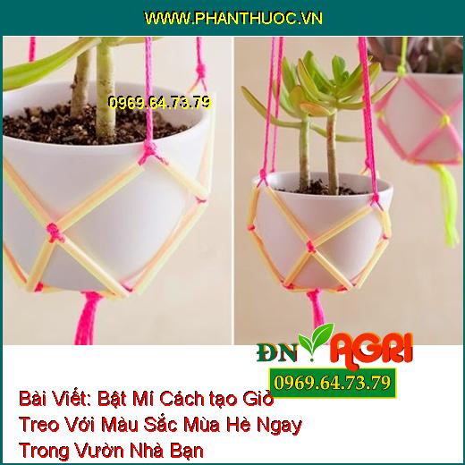 Bật Mí Cách tạo Giỏ Treo Với Màu Sắc Mùa Hè Ngay Trong Vườn Nhà Bạn