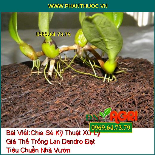 Chia Sẻ Kỹ Thuật Xử Lý Giá Thể Trồng Lan Dendro Đạt Tiêu Chuẩn Nhà Vườn