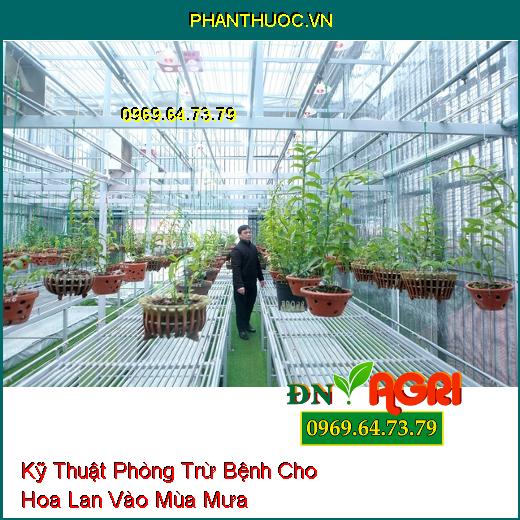 Kỹ Thuật Phòng Trừ Bệnh Cho Hoa Lan Vào Mùa Mưa