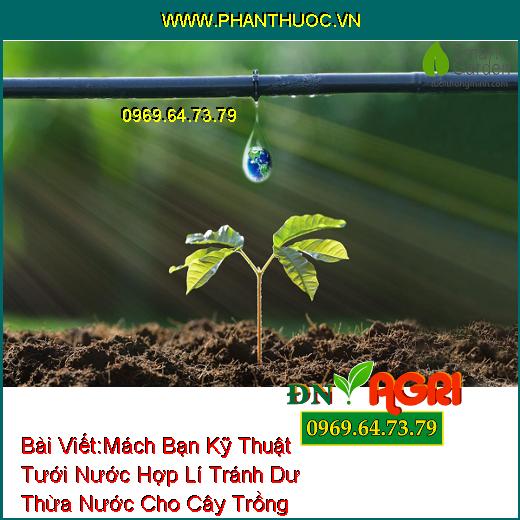 Mách Bạn Kỹ Thuật Tưới Nước Hợp Lí Tránh Dư Thừa Nước Cho Cây Trồng