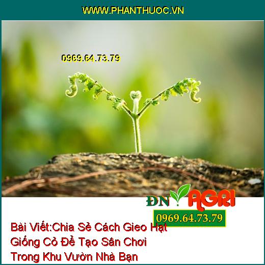 Chia Sẻ Cách Gieo Hạt Giống Cỏ Để Tạo Sân Chơi Trong Khu Vườn Nhà Bạn