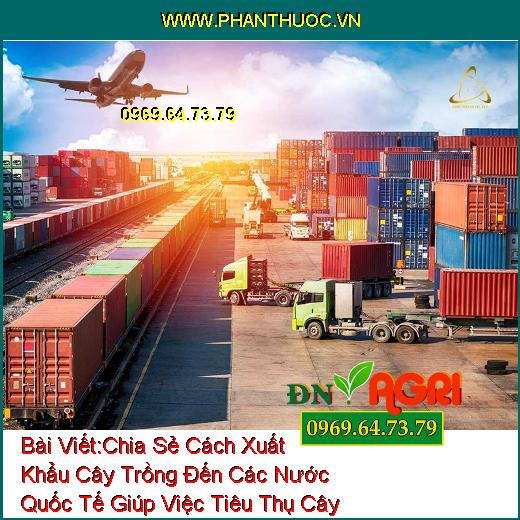 Chia Sẻ Cách Xuất Khẩu Cây Trồng Đến Các Nước Quốc Tế Giúp Việc Tiêu Thụ Cây Trong Vườn Diễn Ra Thuận Lợi