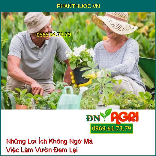 Những Lợi Ích Không Ngờ Mà Việc Làm Vườn Đem Lại 