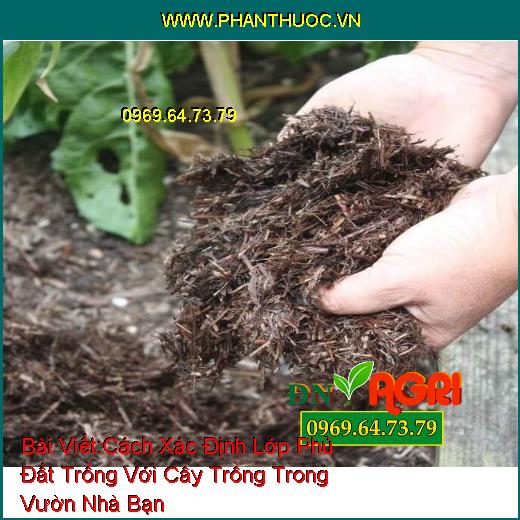 Cách Xác Định Lớp Phủ Đất Trồng Với Cây Trồng Trong Vườn Nhà Bạn