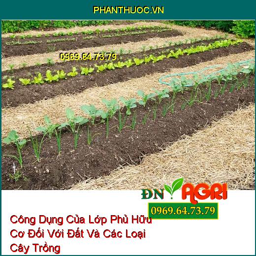 Công Dụng Của Lớp Phủ Hữu Cơ Đối Với Đất Và Các Loại Cây Trồng