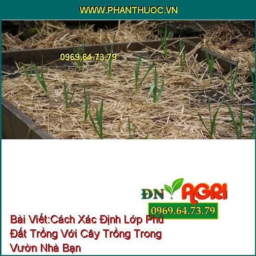 Cách Xác Định Lớp Phủ Đất Trồng Với Cây Trồng Trong Vườn Nhà Bạn