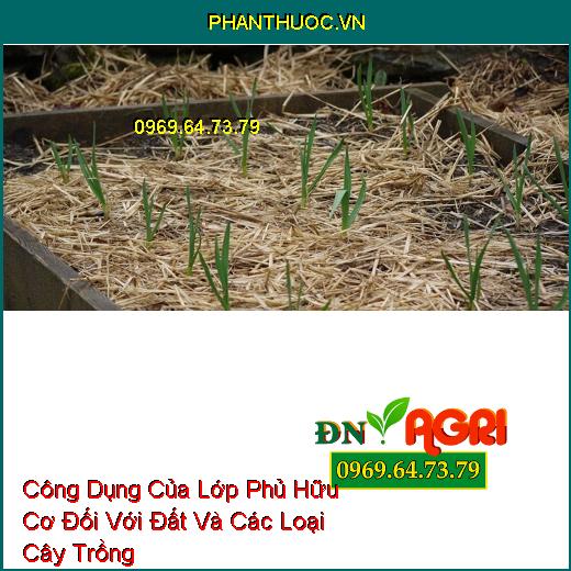 Công Dụng Của Lớp Phủ Hữu Cơ Đối Với Đất Và Các Loại Cây Trồng