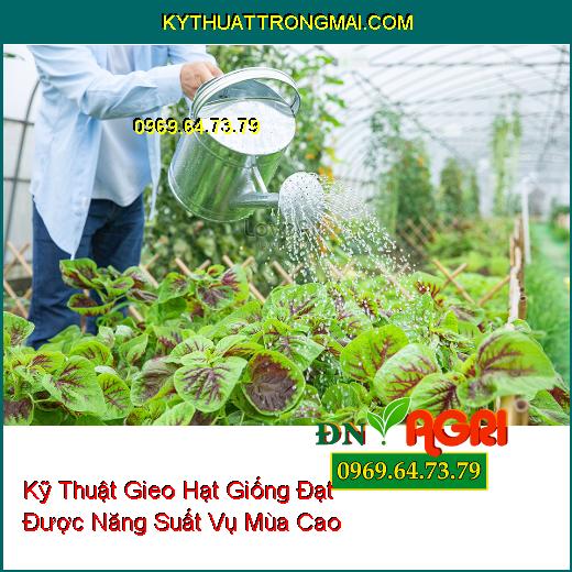 Kỹ Thuật Gieo Hạt Giống Đạt Được Năng Suất Vụ Mùa Cao