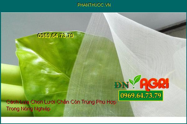 Cách Lựa Chọn Lưới Chắn Côn Trùng Phù Hợp Trong Nông Nghiệp