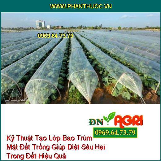 Kỹ Thuật Tạo Lớp Bao Trùm Mặt Đất Trồng Giúp Diệt Sâu Hại Trong Đất Hiệu Quả