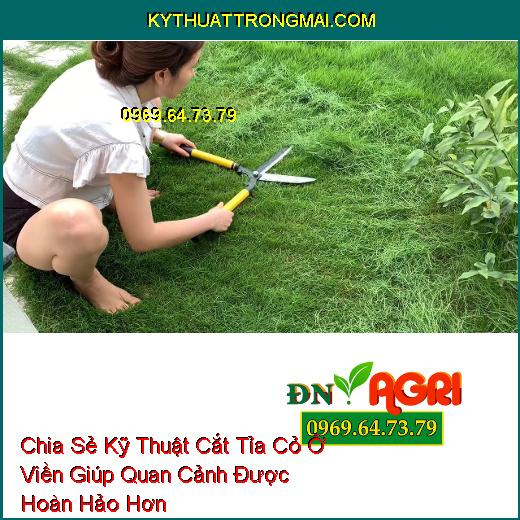 Chia Sẻ Kỹ Thuật Cắt Tỉa Cỏ Ở Viền Giúp Quan Cảnh Được Hoàn Hảo Hơn