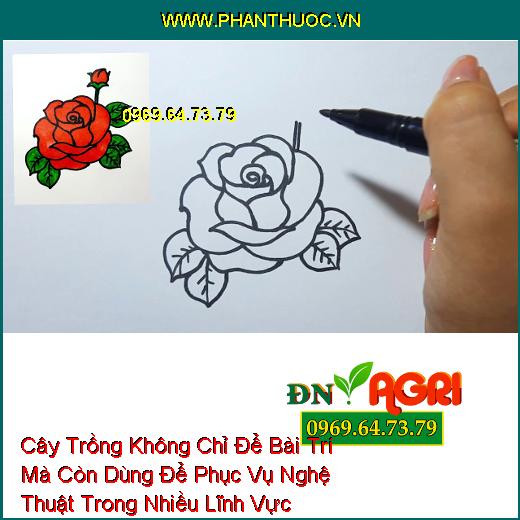 Cây Trồng Không Chỉ Để Bài Trí Mà Còn Dùng Để Phục Vụ Nghệ Thuật Trong Nhiều Lĩnh Vực Khác Nhau